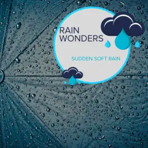 Rain Wonders - Sudden Soft Rain