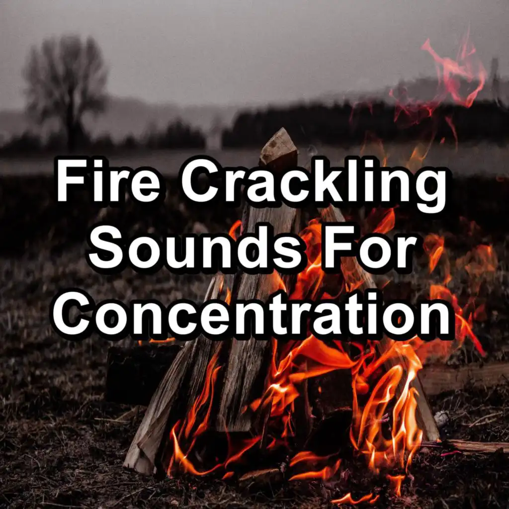 Fire Relaxation in the Forest For Infants