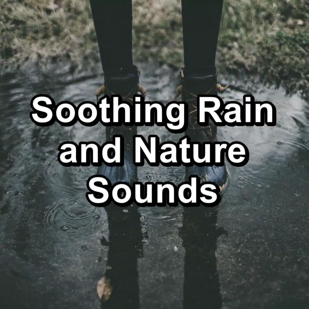 Soothing Rain and Nature Sounds