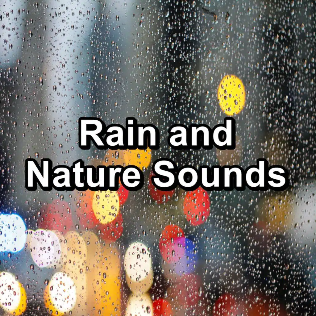Rain and Nature Sounds