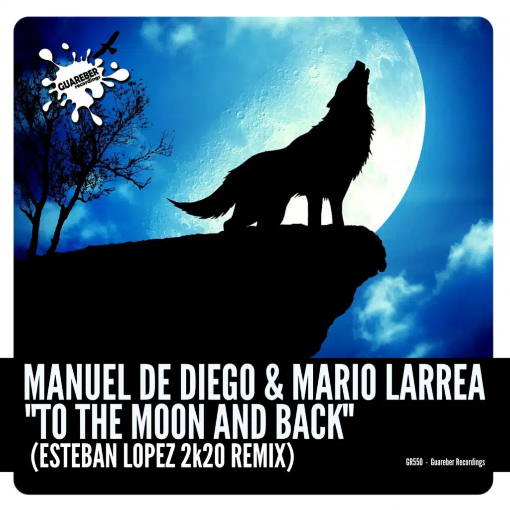 Manuel de Diego & Mario Larrea