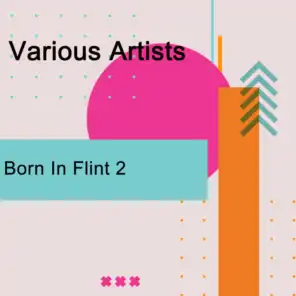 Born In Flint 2