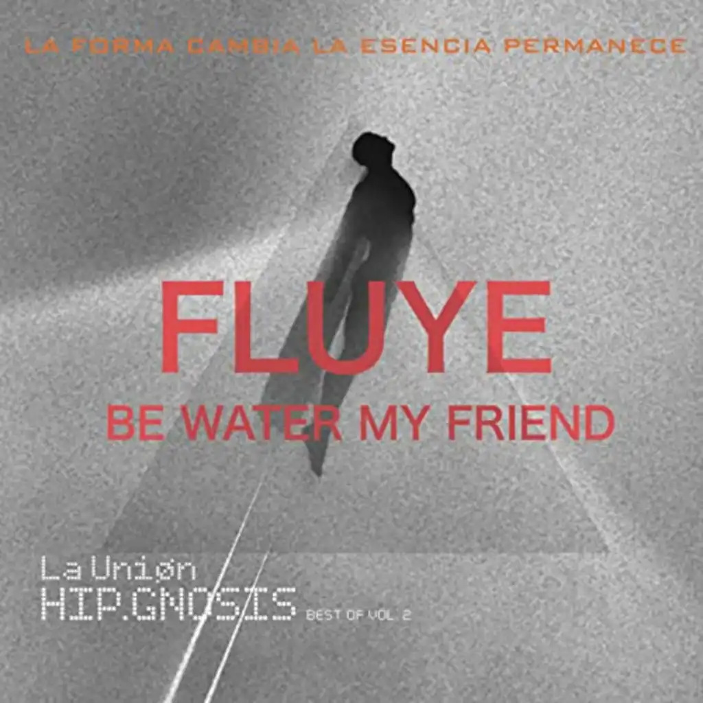 Fluye. Be Water My Friend (Extended)