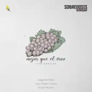 Mejor Que El Vino (feat. Edgardo Peña, Juan Pablo Castro & Pricel Medina)