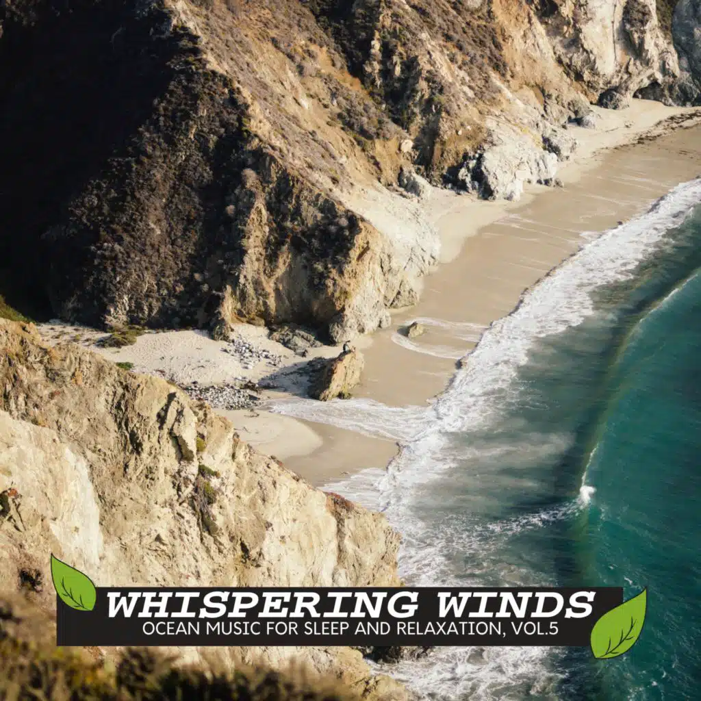 Oceanic Joyful Motion