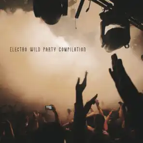 Electro Wild Party Compilation - Rhythmic Chillout Music Perfect for a House Party