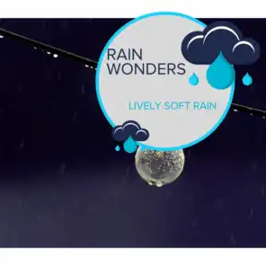 Rain Wonders - Lively Soft Rain
