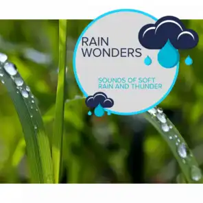 Rain Wonders - Sounds of Soft Rain and Thunder
