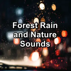 White Noise Rain With Ocean Waves To Relax and Loop for 8 Hours
