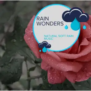 Rain Wonders - Natural Soft Rain Music