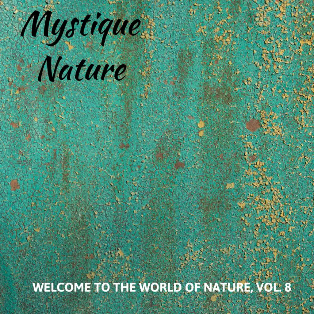 Nature Meditative Music Project