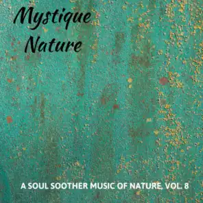 Mystique Nature - A Soul Soother Music of Nature, Vol. 8