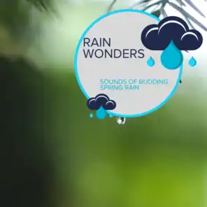 Rain Nature Therapeutic Vibes