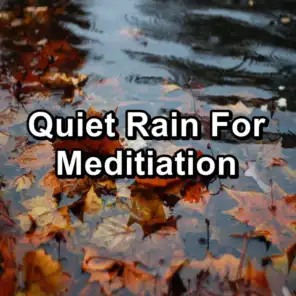 Gutter Rain For Quiet Nights in the Evening