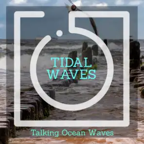 Tidal Waves - Talking Ocean Waves
