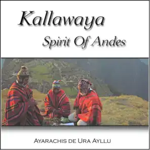 Kallawaya, Spirit of Andes