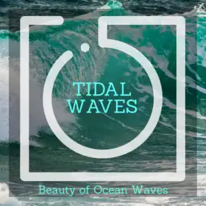 Tidal Waves - Beauty of Ocean Waves