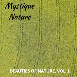 Mystique Nature - Beauties of Nature, Vol. 1