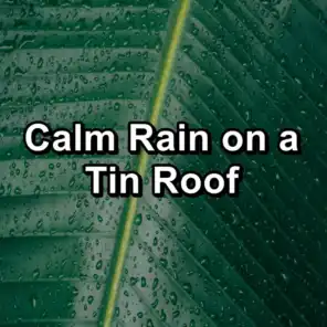 Calm Rain on a Tin Roof