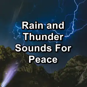 Medium Rain and Thunder For Relaxing Times To Relax and Loop for 8 Hours
