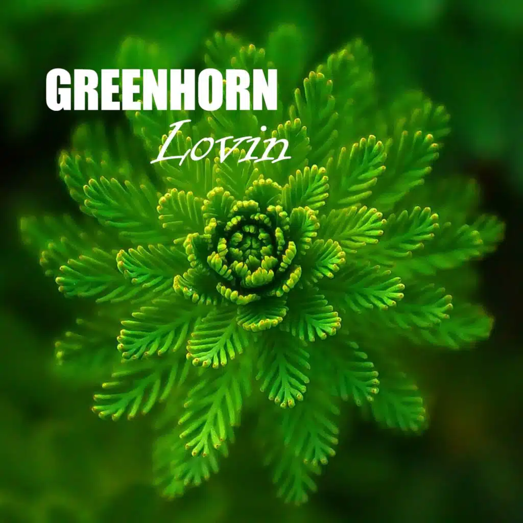 Greenhorn