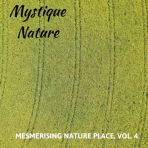 Nature Pleasure Therapy Music