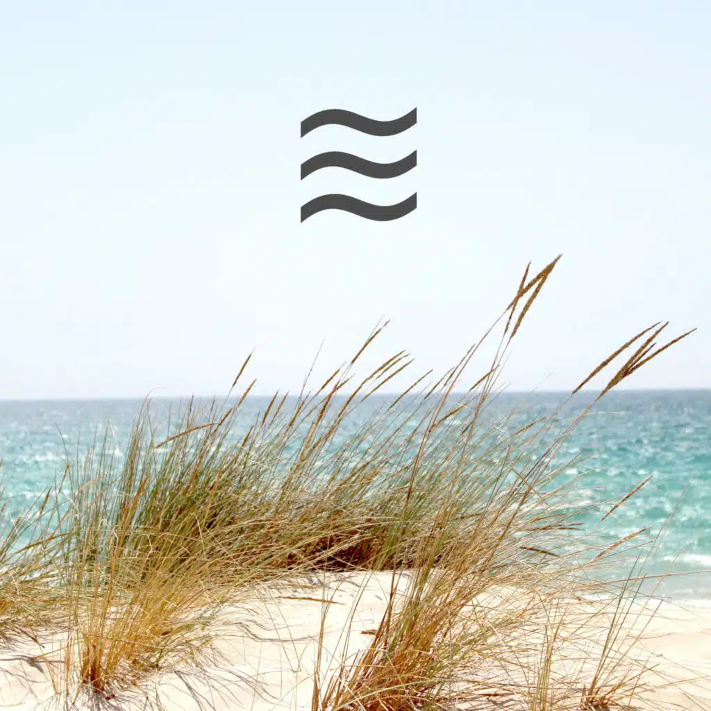 The Water Sleep Audio Group