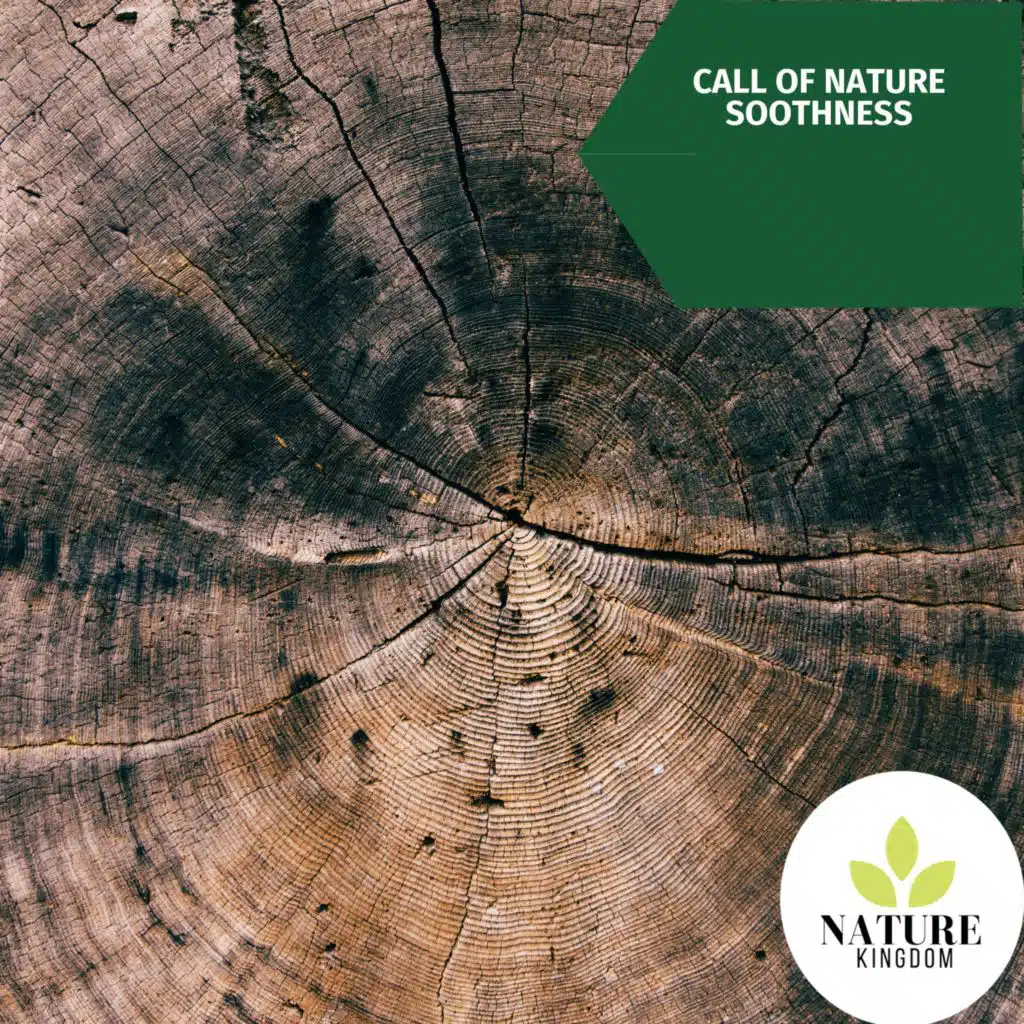 Rollicking Insect Trill