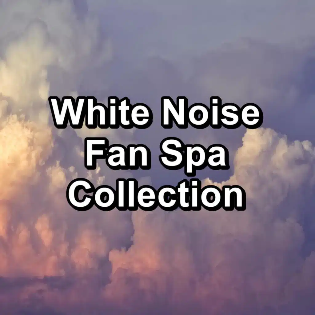White Noise Fan Spa Collection