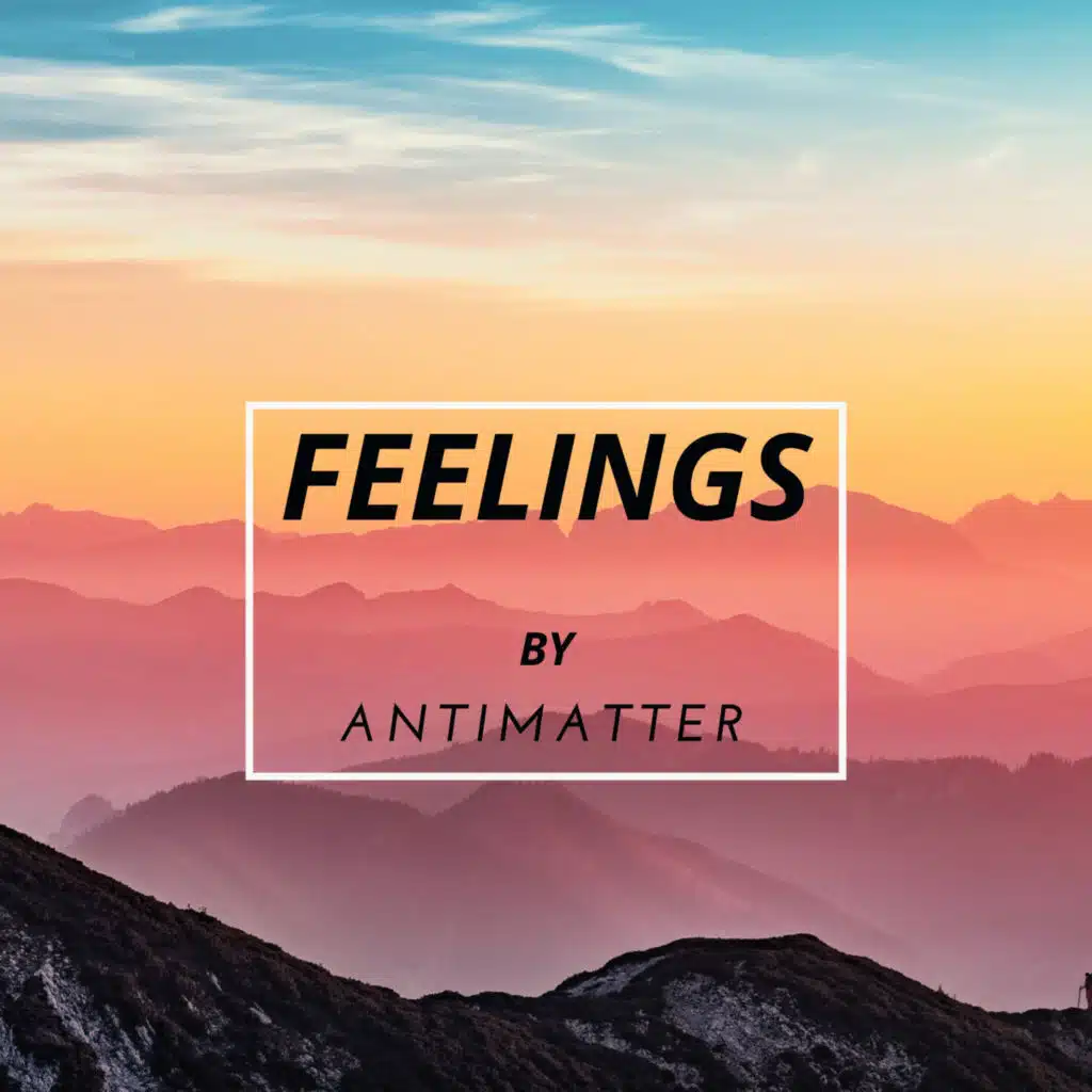 Feelings