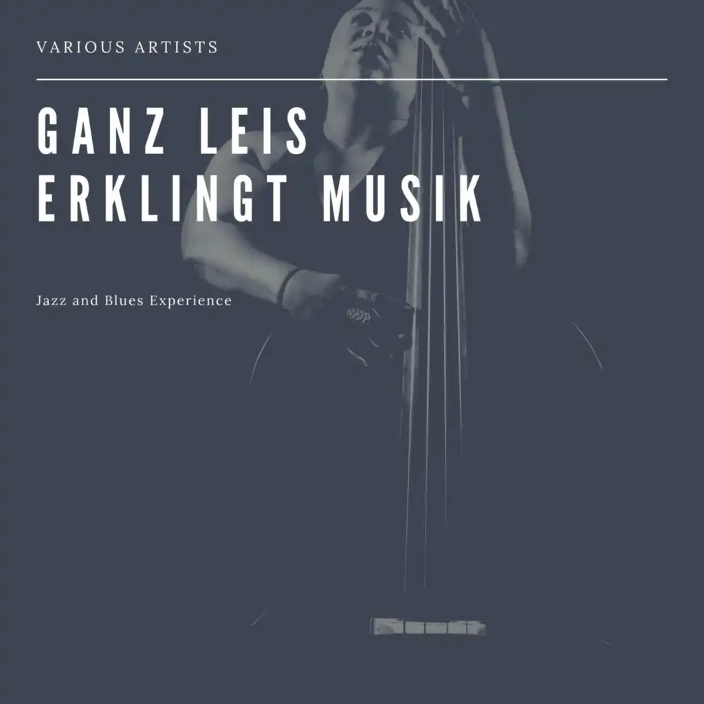 Ganz Leis erklingt Musik  (Jazz and Blues Experience)