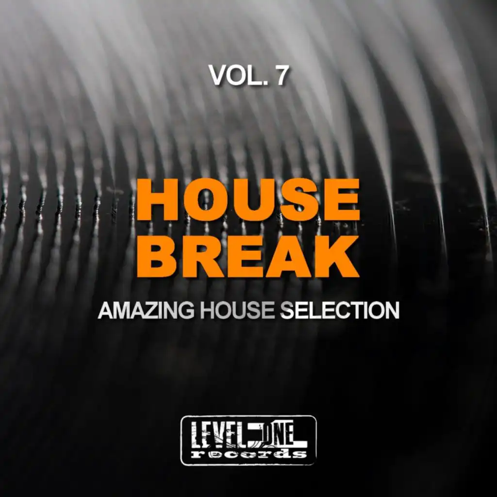 House Break, Vol. 7 (Amazing House Selection)