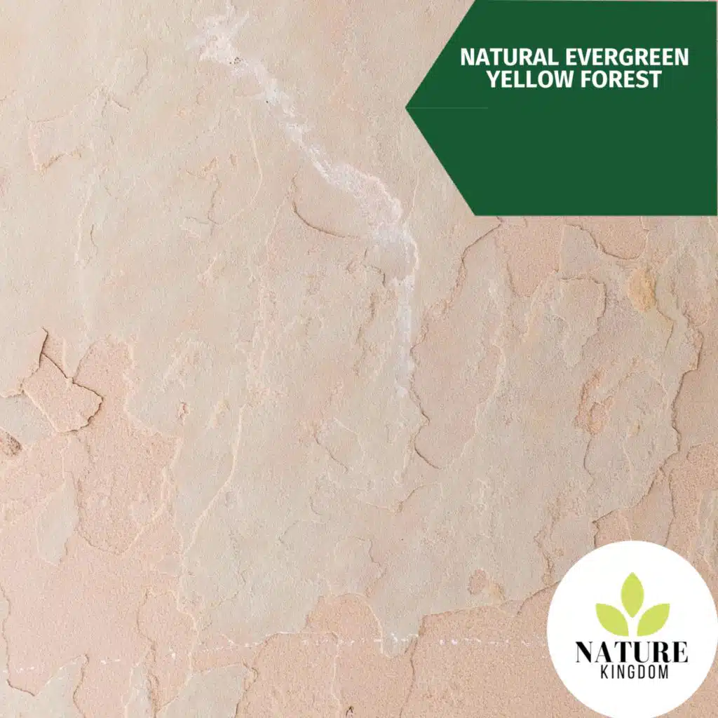 Bubble Glory 9D Nature Sound