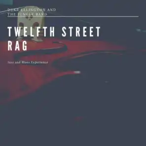 Twelfth Street Rag  (Jazz and Blues Experience)
