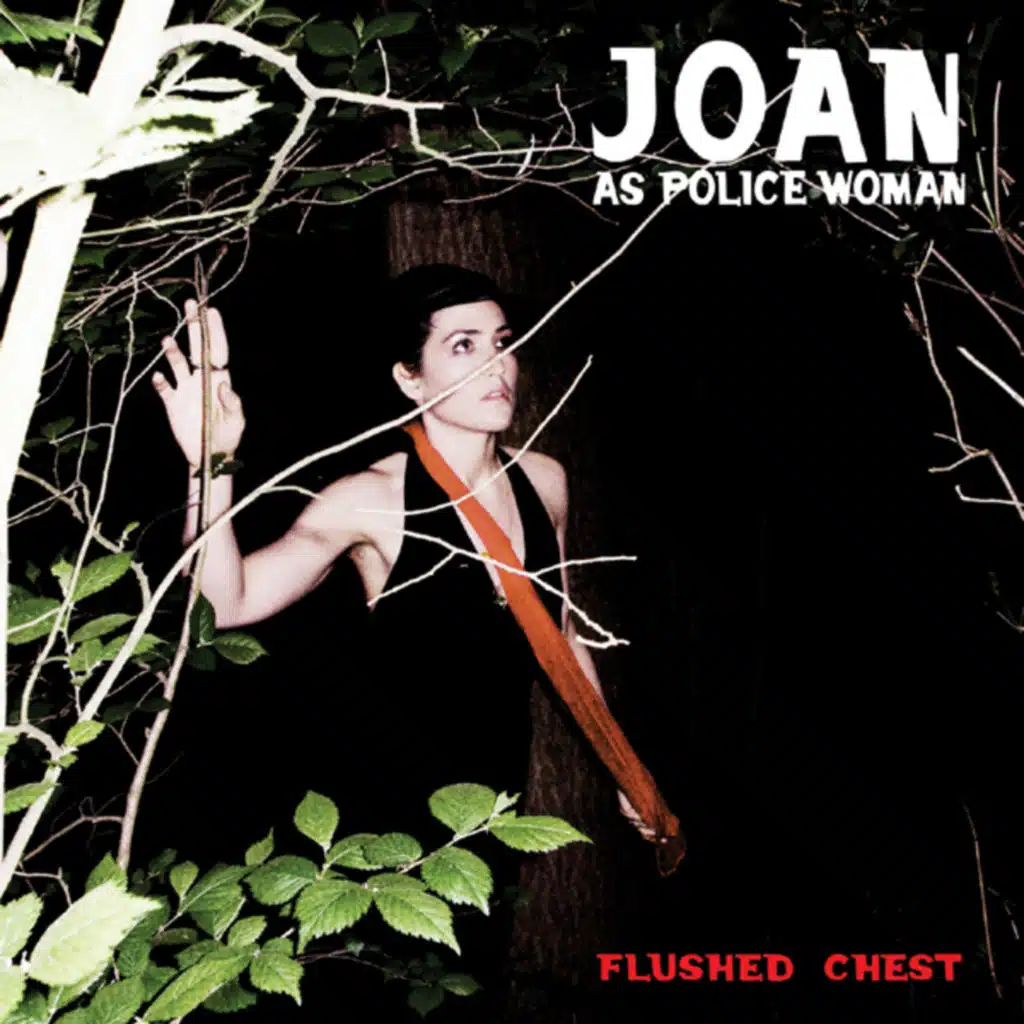 The Ride (Live at Fip)