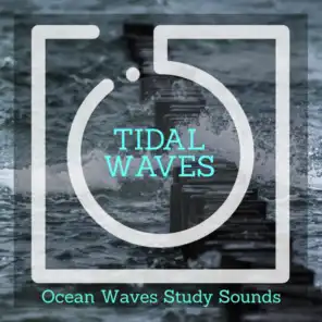Oceanic Tribe 3D Sounds