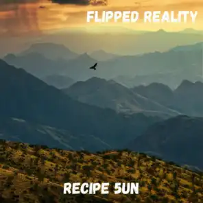 Flipped Reality