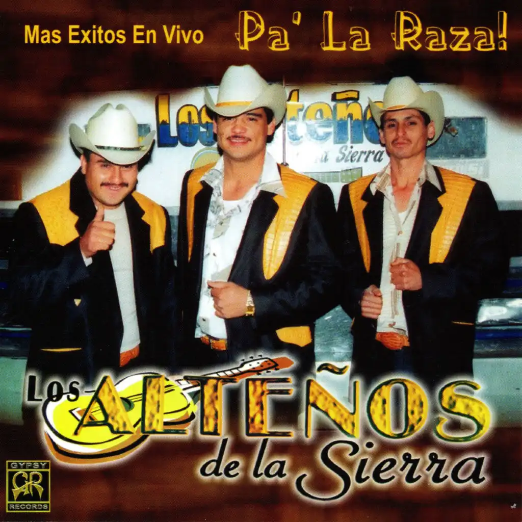 Mas Exitos En Vivo Pa' La Raza