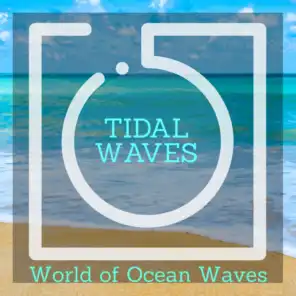 Tidal Waves - World of Ocean Waves