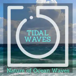 Tidal Waves - Nature of Ocean Waves