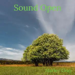 Sound Open