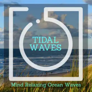 Tidal Waves - Mind Relaxing Ocean Waves