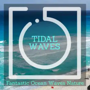 Tidal Waves - Fantastic Ocean Waves Nature