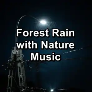 White Noise Rain with Nature Music To Loop for 10 Hours