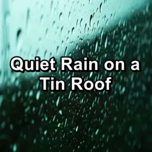 Quiet Rain on a Tin Roof