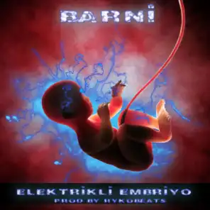 Elektrikli Embriyo (feat. Rayko)