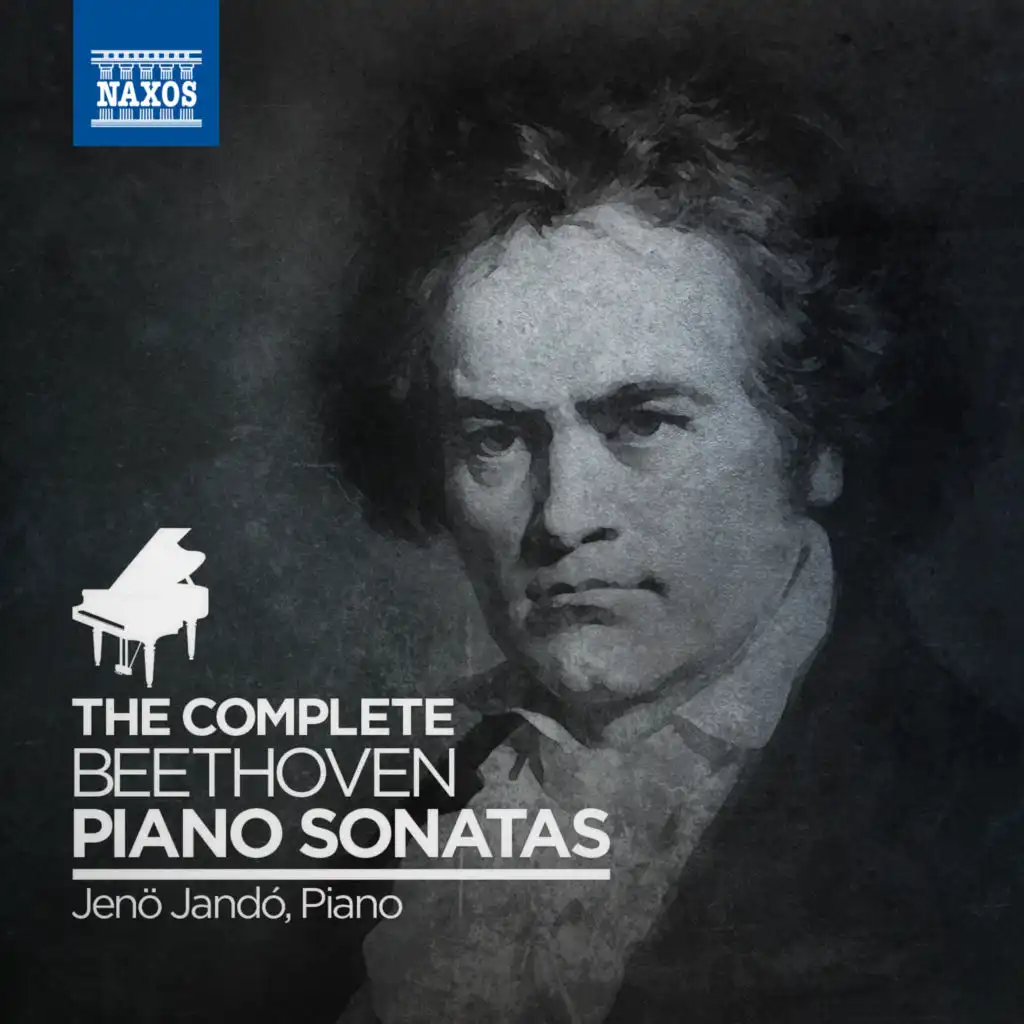 Piano Sonata No. 1 in F Minor, Op. 2, No. 1: IV. Prestissimo