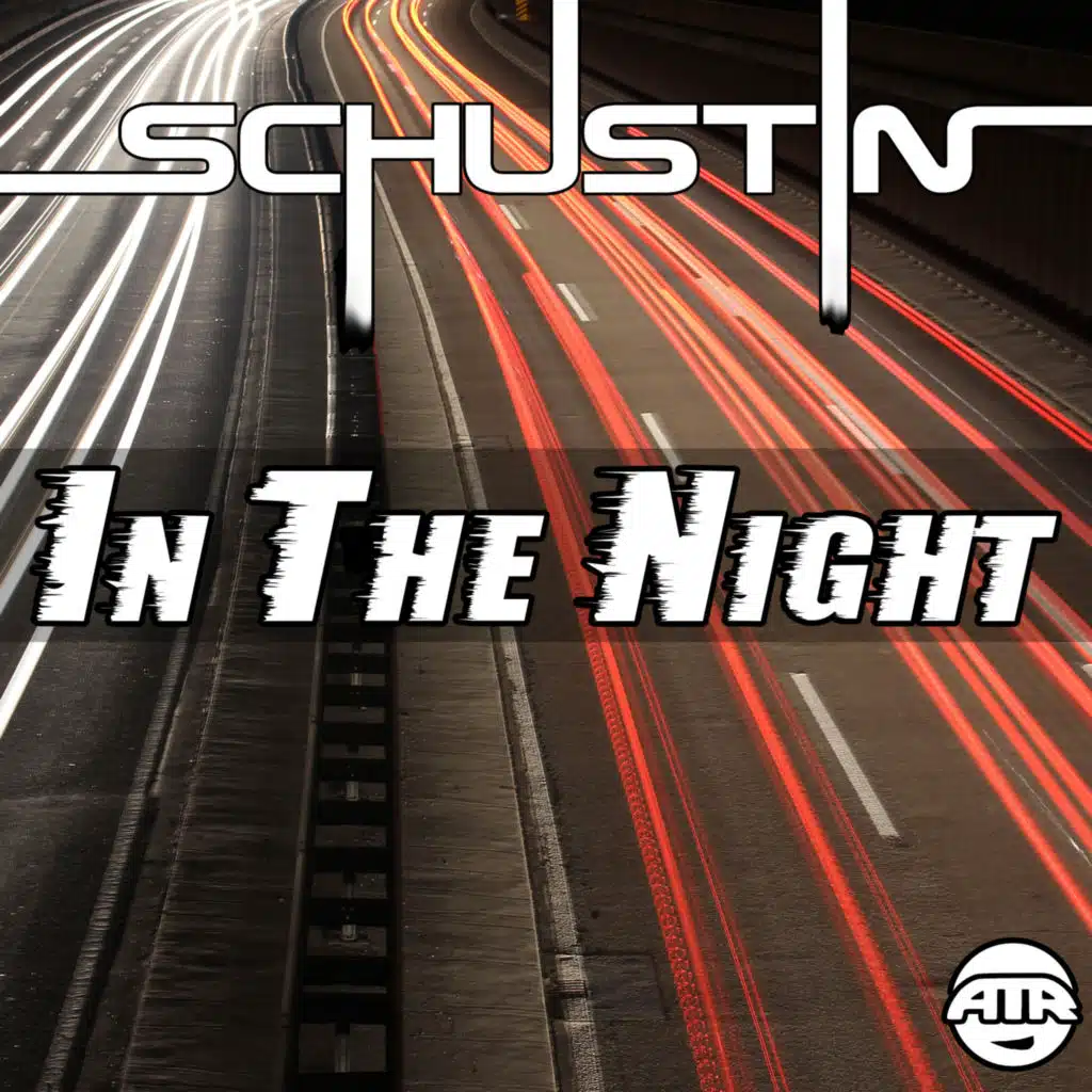 In the Night (DJ Biz Dirty South Weedmix)