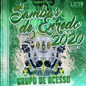Sambas de Enredo 2020: Grupo de Acesso, Vol. 1