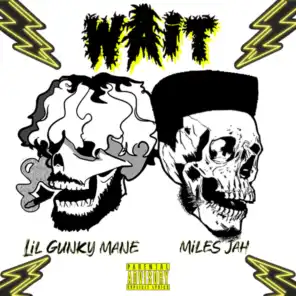 WAIT! (feat. Lil Gunky Mane)